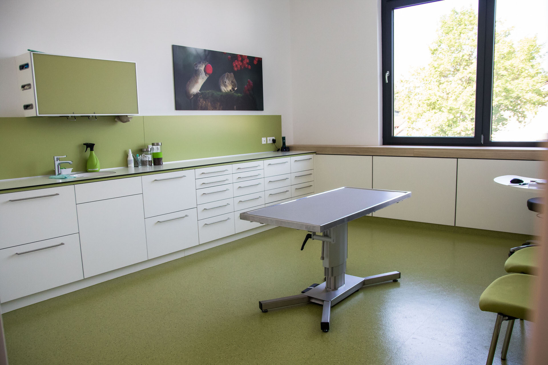 Tierarzt Bayreuth Behandlung